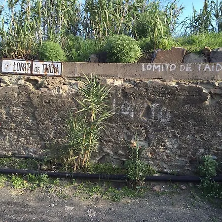 Lomito De Taidia Risco Blanco