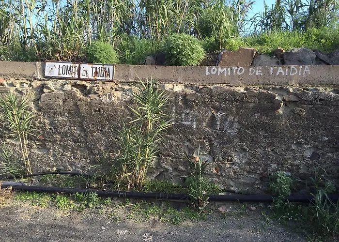 Lomito De Taidia Risco Blanco